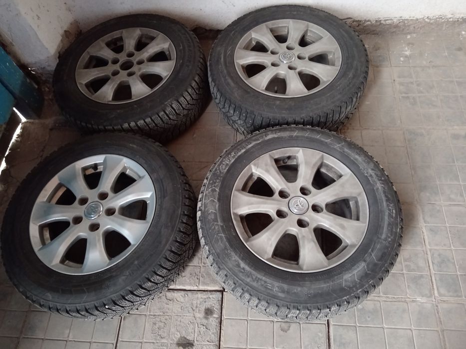 Автошина и титанка