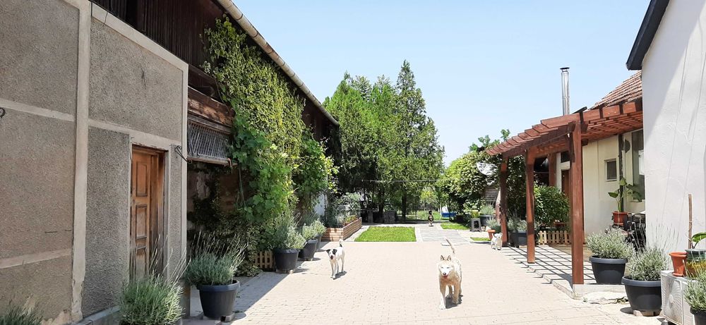 Liniste si placere 149.000€