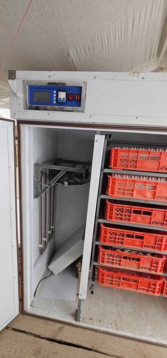 Kelishiladi inkubator