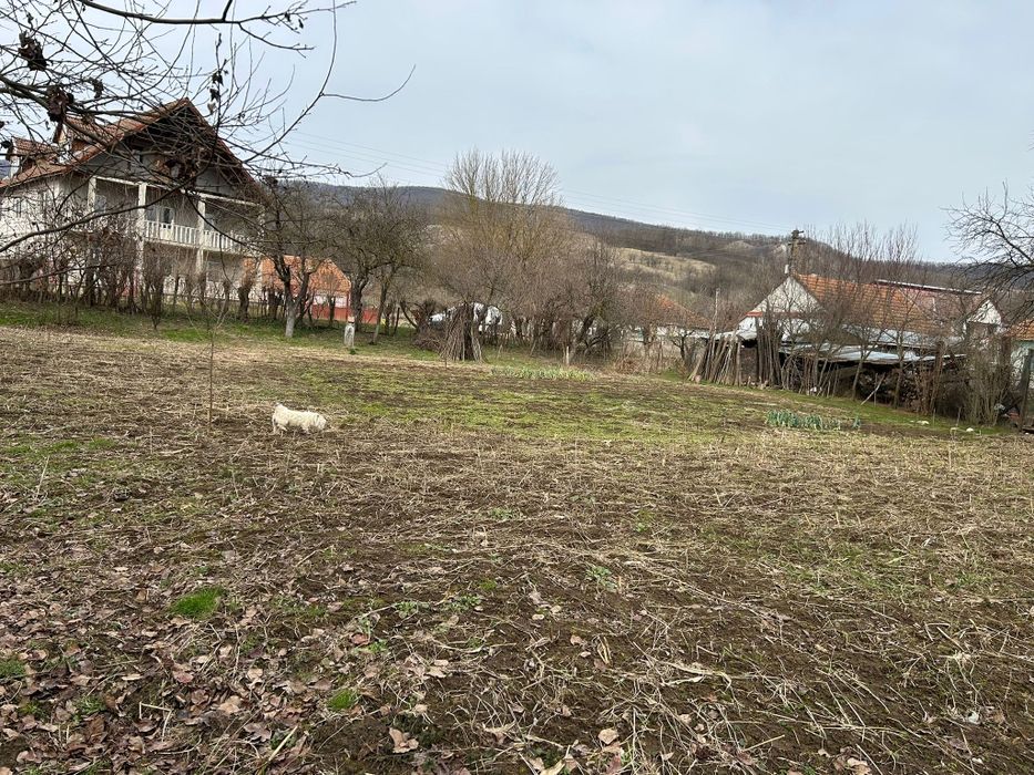 Vând casa în sat farcadin județ hunedoara