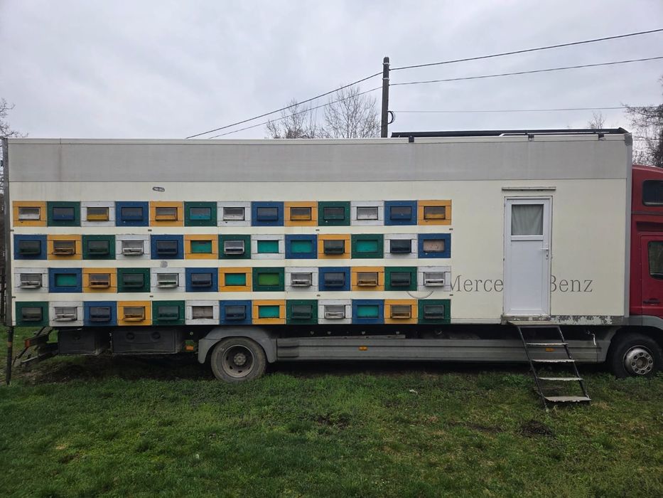 Vând camion apicol Mercedes Atego 1218- 104 stupi, complet echipată