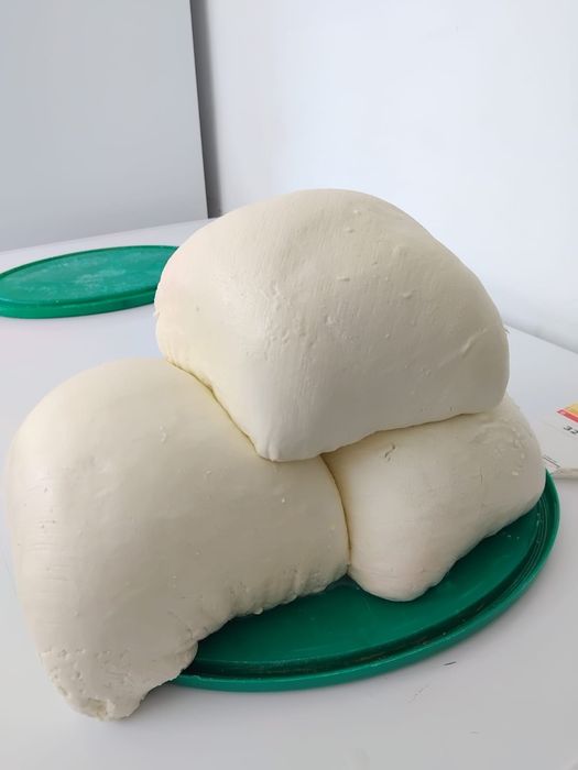 Vând brânză de vaci proaspătă