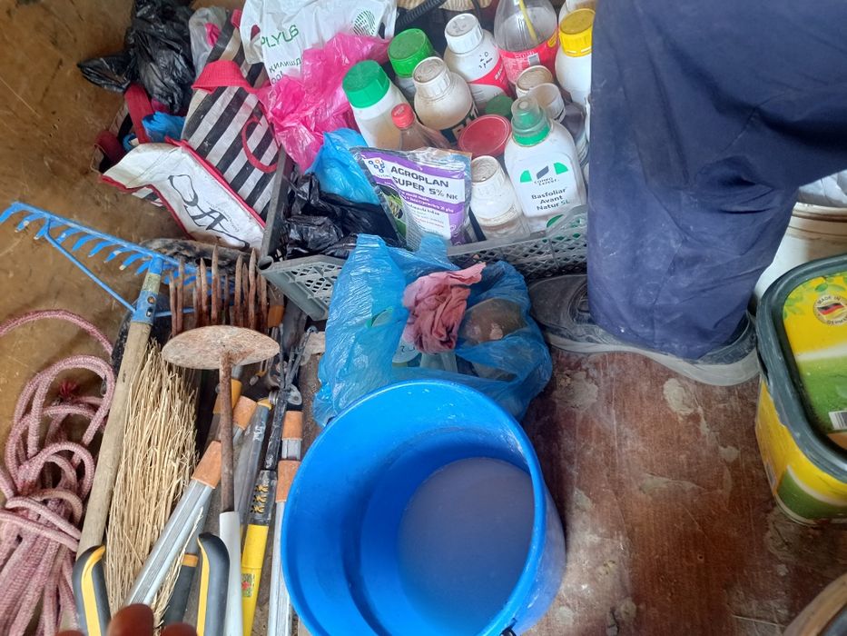 bog'bon sadovnik 12 -yillik