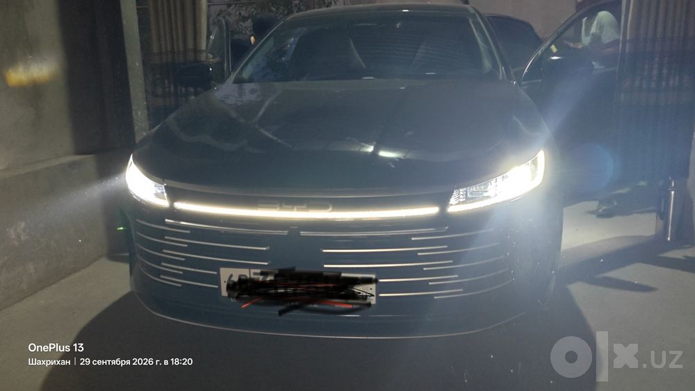 Byd chazor 120 talik