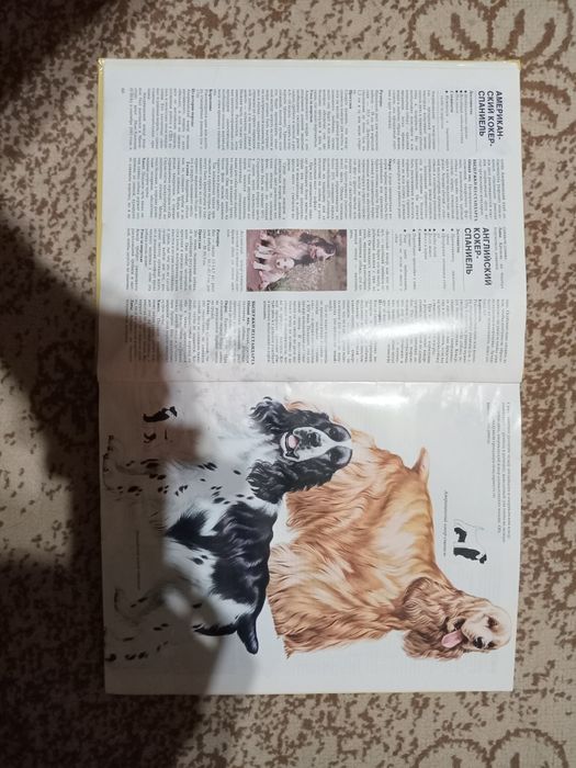 Книга"Ваша Собака"