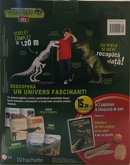 Dinozaurul T Rex de construit 80 numere