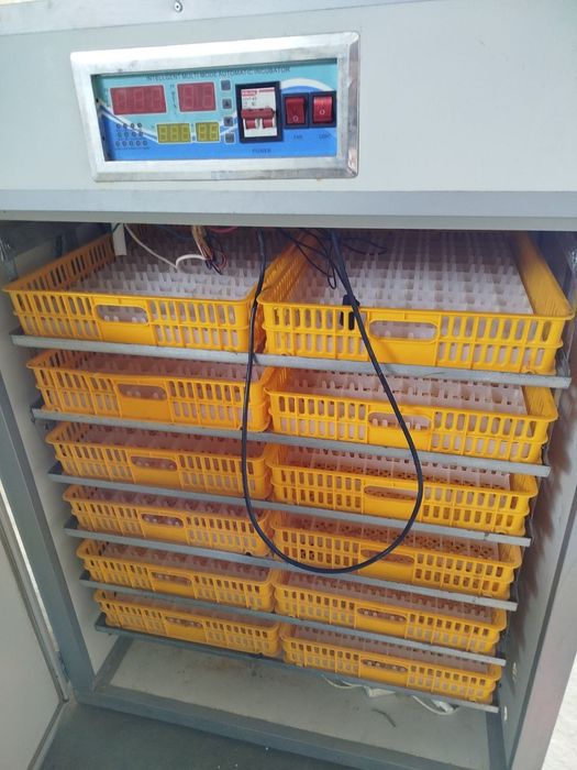 Yangi Inkubator sotiladi 1056 ta tovuq tuxumi ketadi