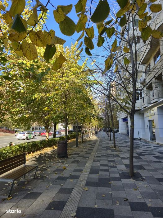Vanzare Apartament 4 Camere Decomandat | 115 MP- Decebal - P-ta Muncii