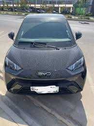 byd seagull padzakaz