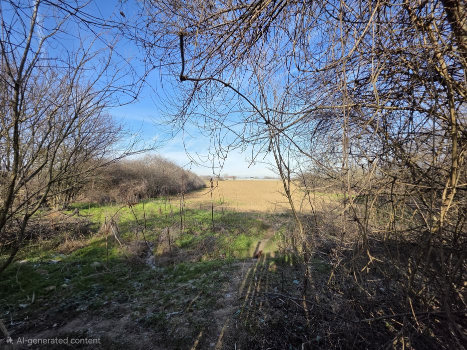 Teren lângă București 6000mp