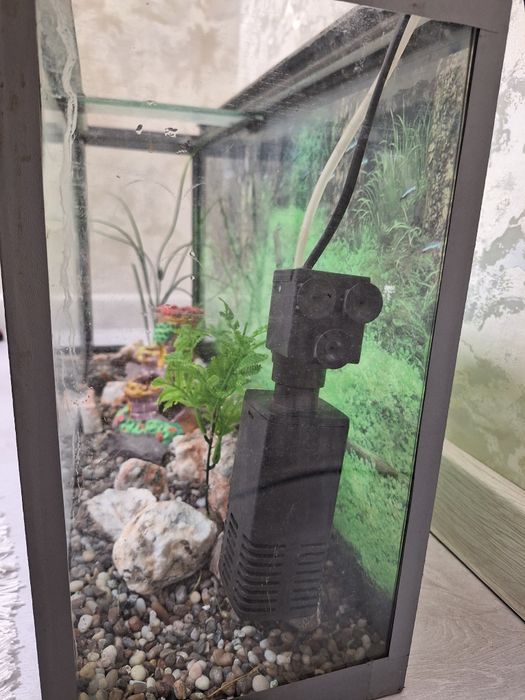 60 litrlik akvarium