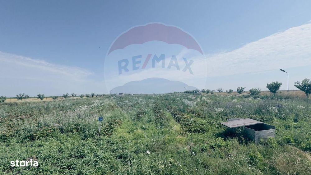 Teren agricol 16.750mp în Cârcea, imprejmuit, cultura capsuni, solarii