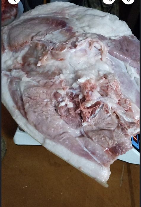 Свинина домашняя