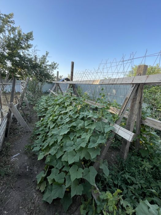 Продается 5 комнатный дом