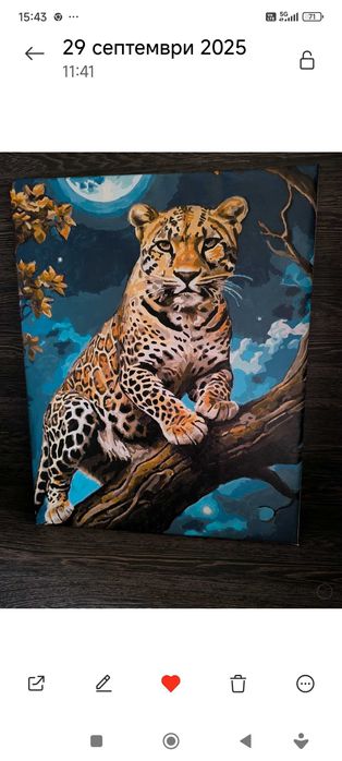 Акрилни платна с подрамка