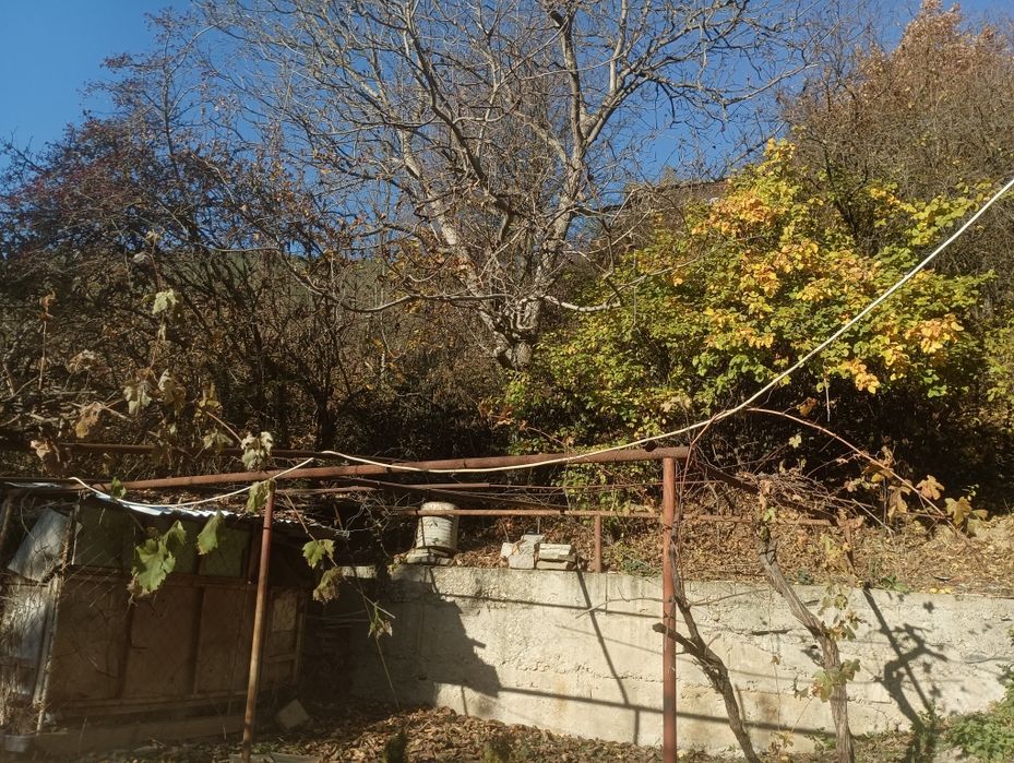 Почистване на запустели парцели и имоти