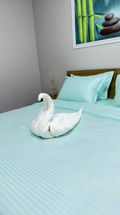 ЯНГИ МЕХМОНХОНА без ЗАГС, 300.000 дан