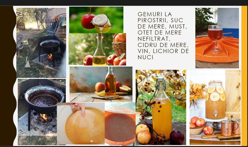 Vila cu FERMA PERMACULTURA livada, beci, solar 20min Bucuresti