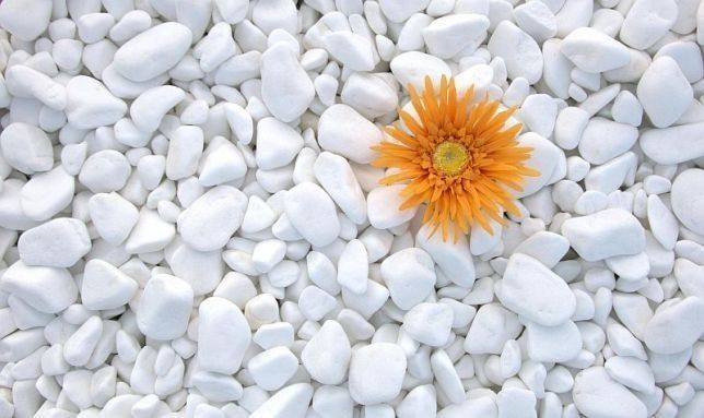 Piatra decorativa gradina/marmura Thasos 1-3/3-6/6-10 cm- PRET/KG