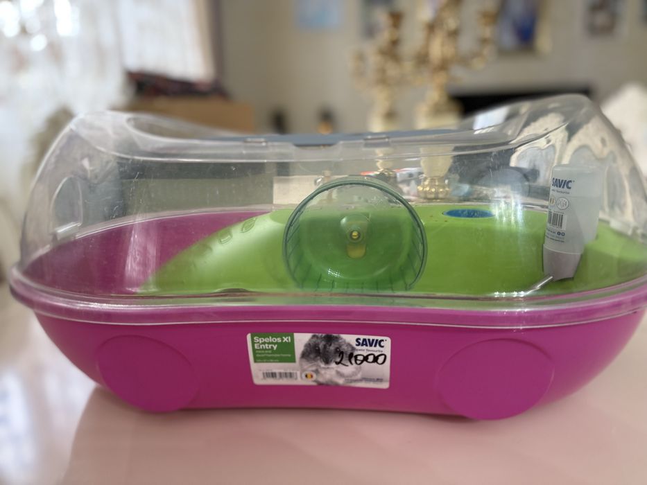 Хомяк с крутым жильем