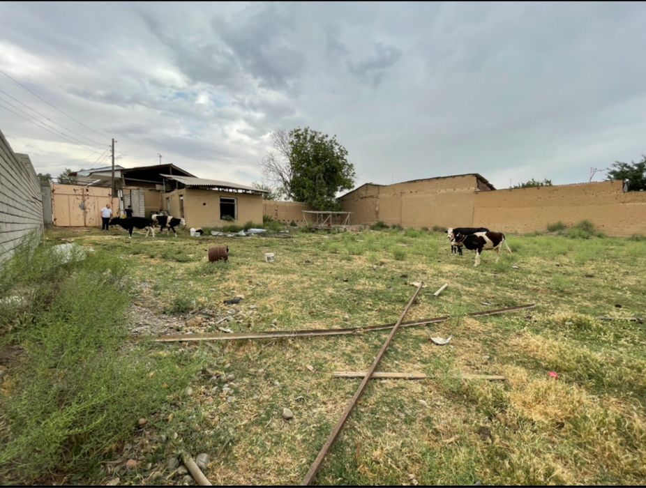 Tolabeda yer sotiladi 13 sotx