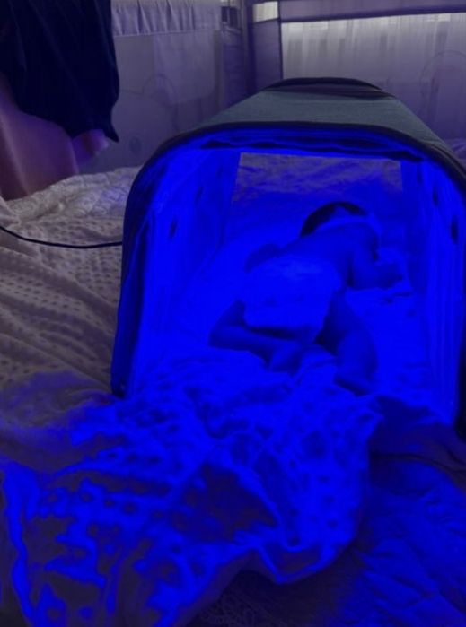 Фотолампа Maineng 5000в сутки