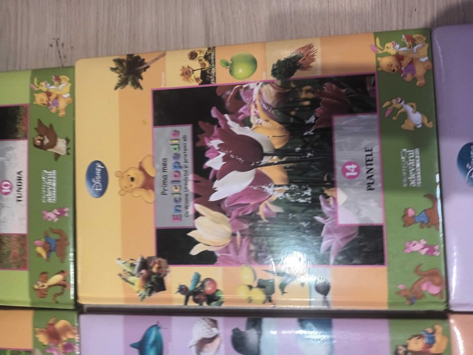 Colectia disney noua