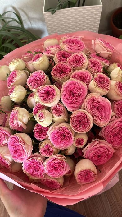 Пионы кеше келген свежий актау