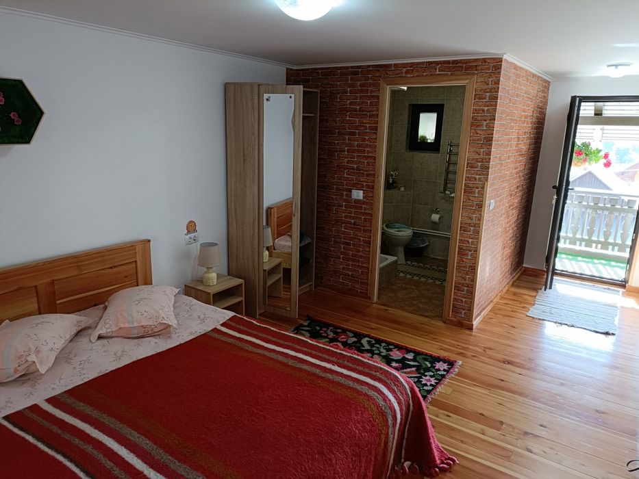 Cazare Casa dintre pini