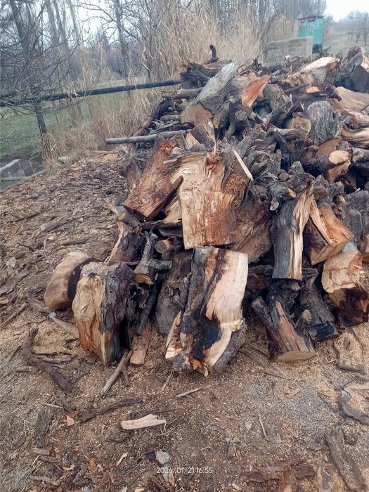 Quruq oʻtin sotiladi