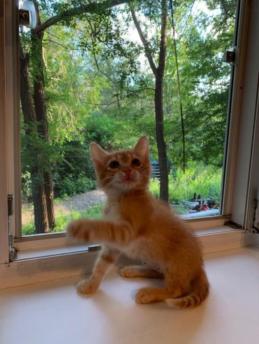 Только хорошим людям