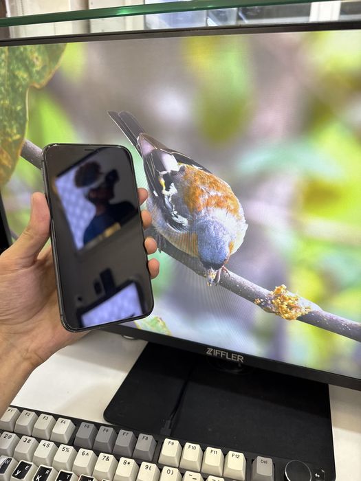 iphone 11 arzon narx