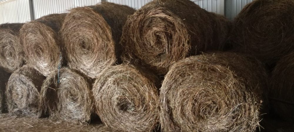 Vând baloți lucernă/fân