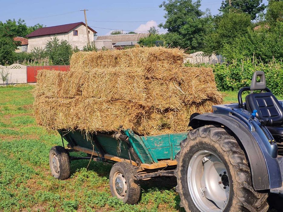 Vând baloți lucernă, fân