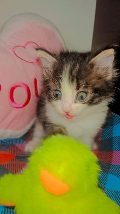 Малышка по имени Зайка