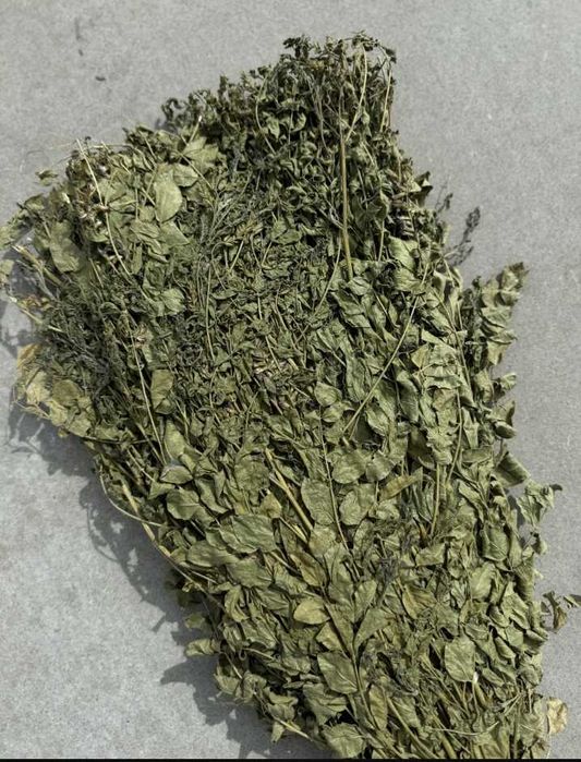 Банный веник Солодка