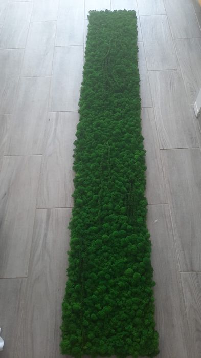 Decor licheni 30x200cm, 60x100cm