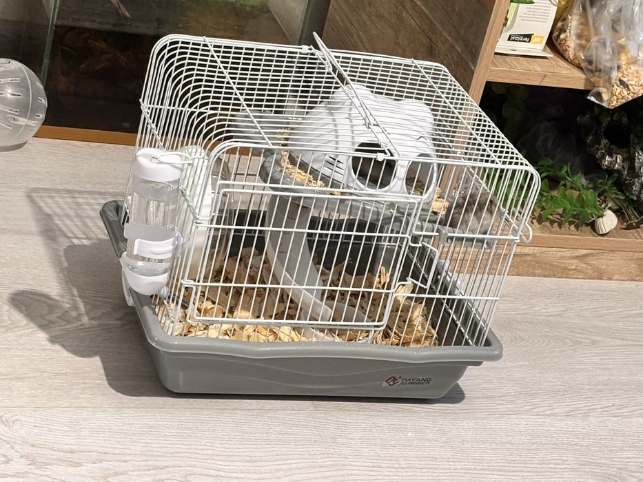 Продам хомяков с клеткой