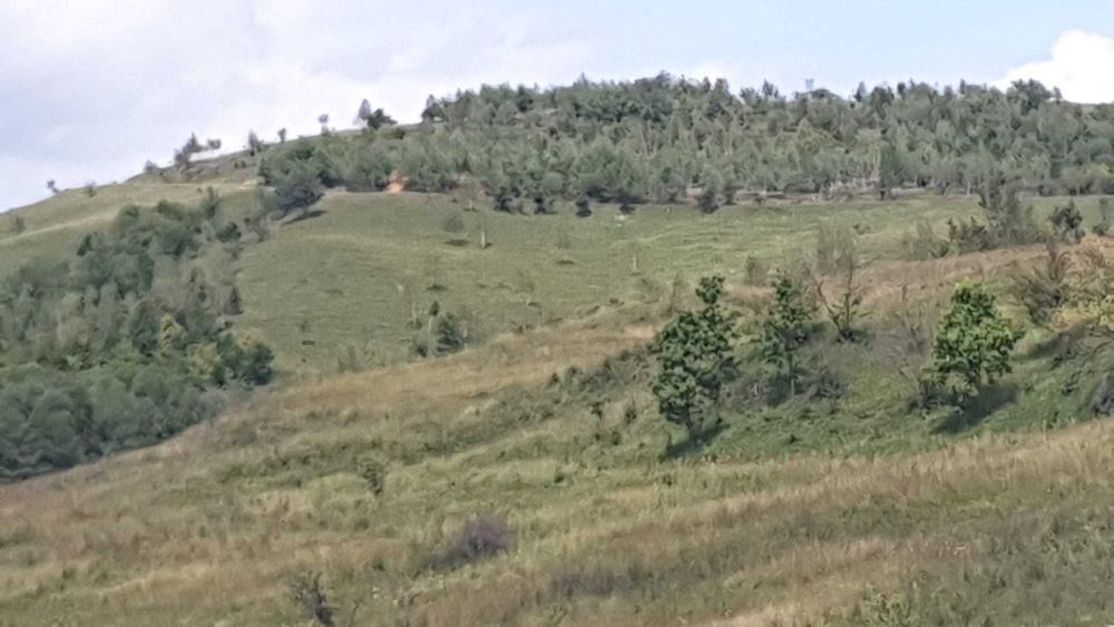 PF vand 20e teren SALICEA,IARA intra-extrav,parcele de la 6000e CABANA