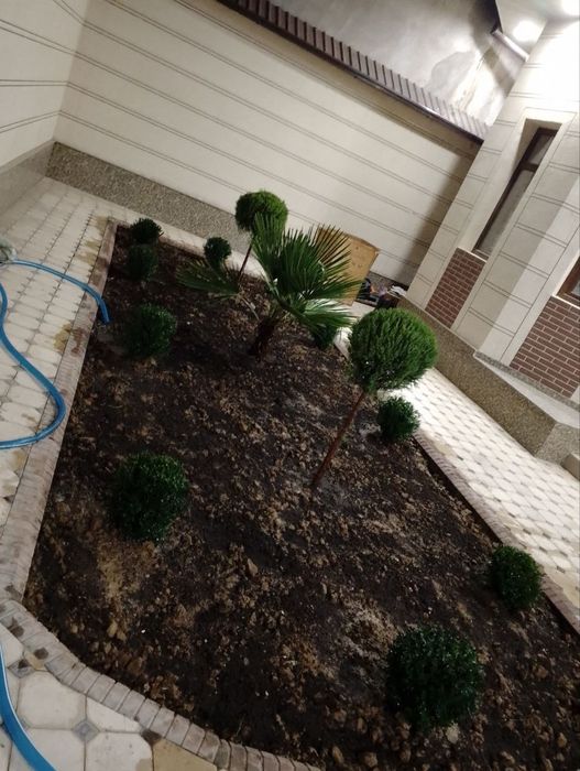 Archa gul kesish gazon ekish tayor gazon bosish archa gul ekish xat xi