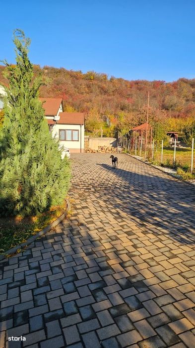 Proprietate deosebită în Viisoara•Casa+anexe+28arii teren