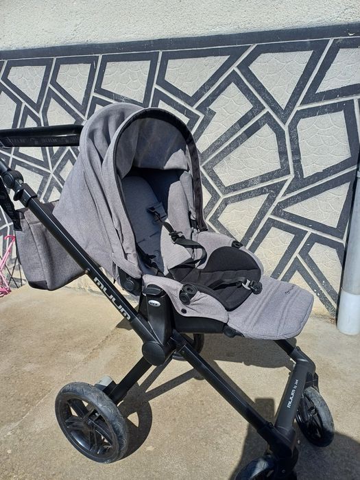 Cãrucior Jane Muum
