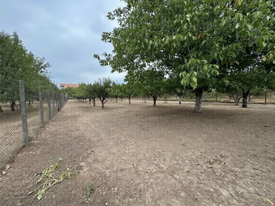 Casa de vanzare Comuna Lipanesti