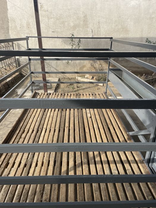 Тапчан. Кой кора. Кошкар