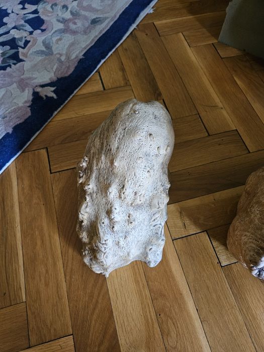 Декорация за дома и градината