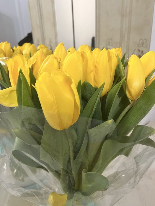 Гүл сатылады жап жаңа