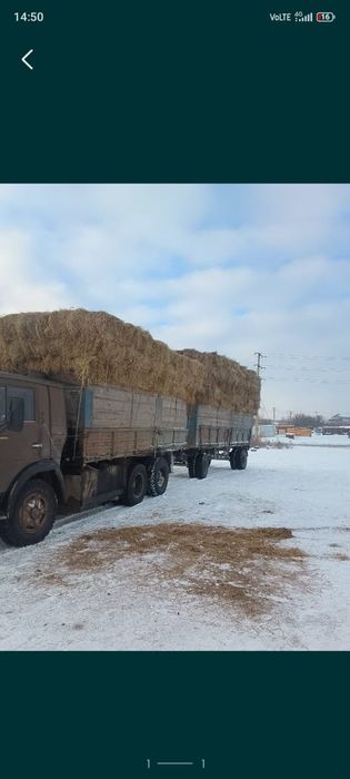 Сено тюковое сипма