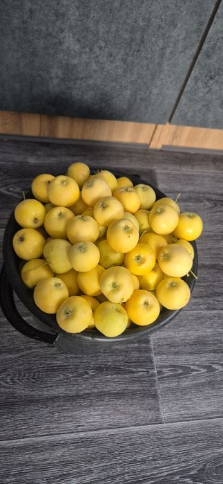 Продам яблоки 12 литра