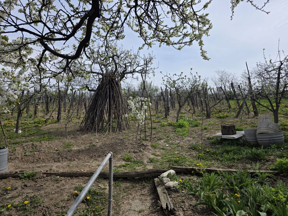 Casa de vânzare cu teren generos