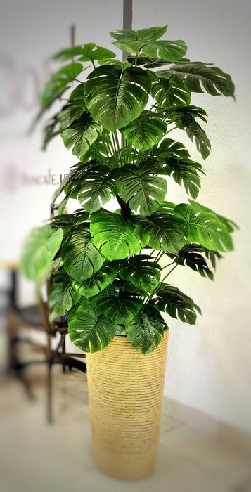 Күйеуі әйелін досымен бірге көруге мәжбүрлеген